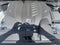 2026 Mazda Mazda CX-70 3.3 Turbo Premium Plus AWD